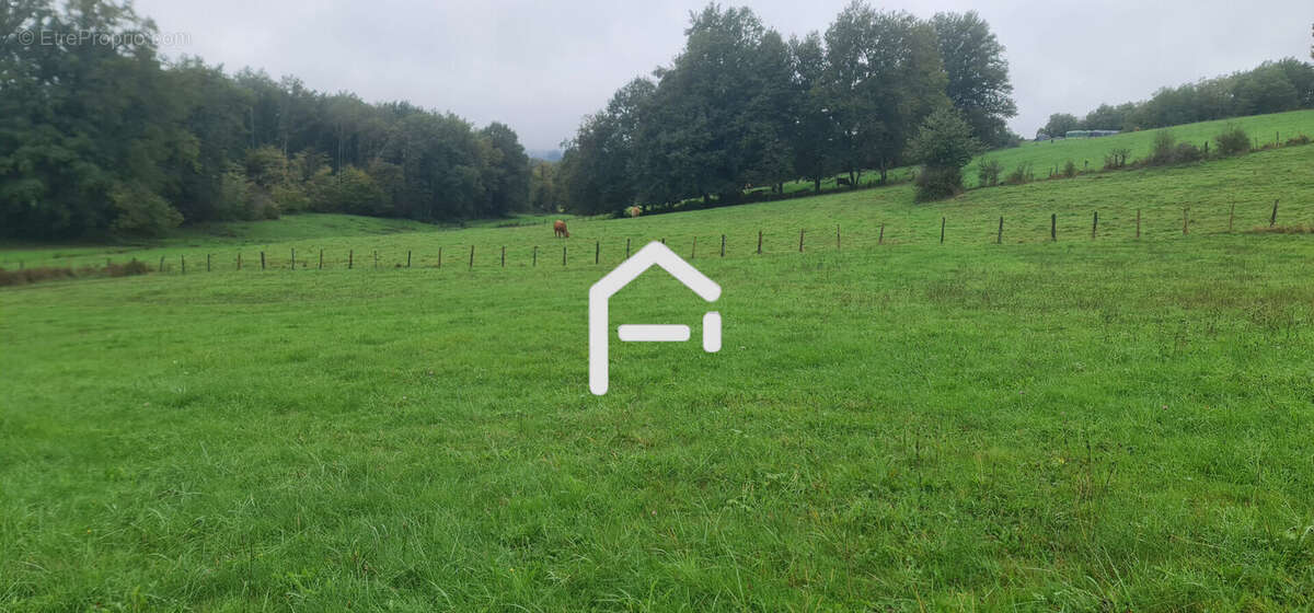 Terrain 2099 m² à Allassac  - photo 4