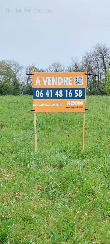 Terrain à CASTILLON(CANTON D&#039;ARTHEZ-DE-BEARN)