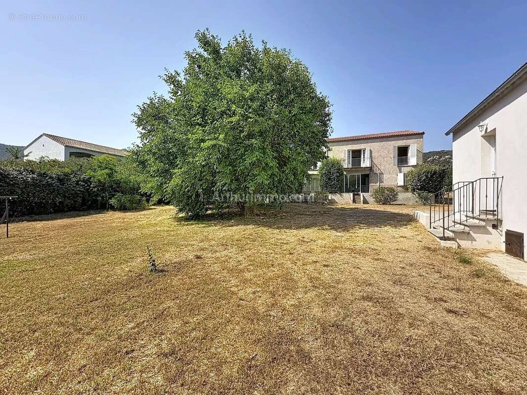 Vente Maison Calvi(20260) 1 350 000ï¿œ - photo 2