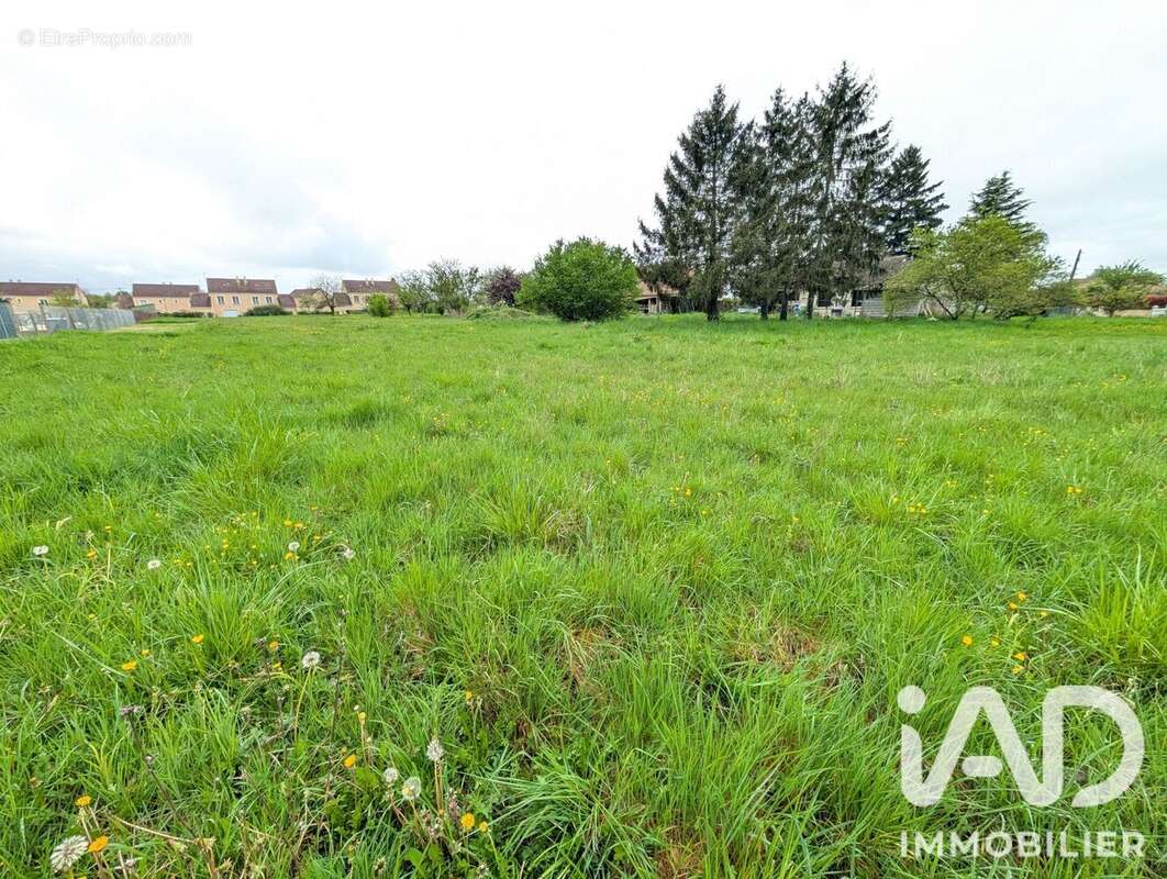 Terrain 4024 m² à Lussac-Les-Chateaux  - photo 7