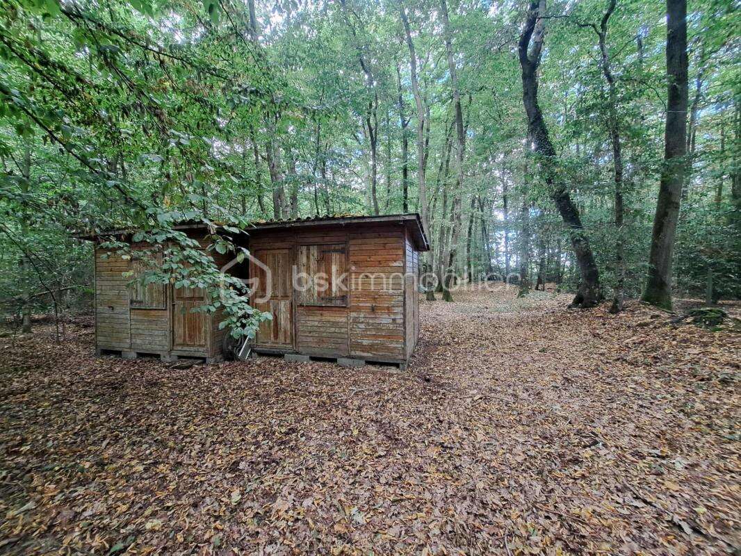 Maison au cœur d'une parcelle boisée – Coup de cœur assuré ! - photo 9