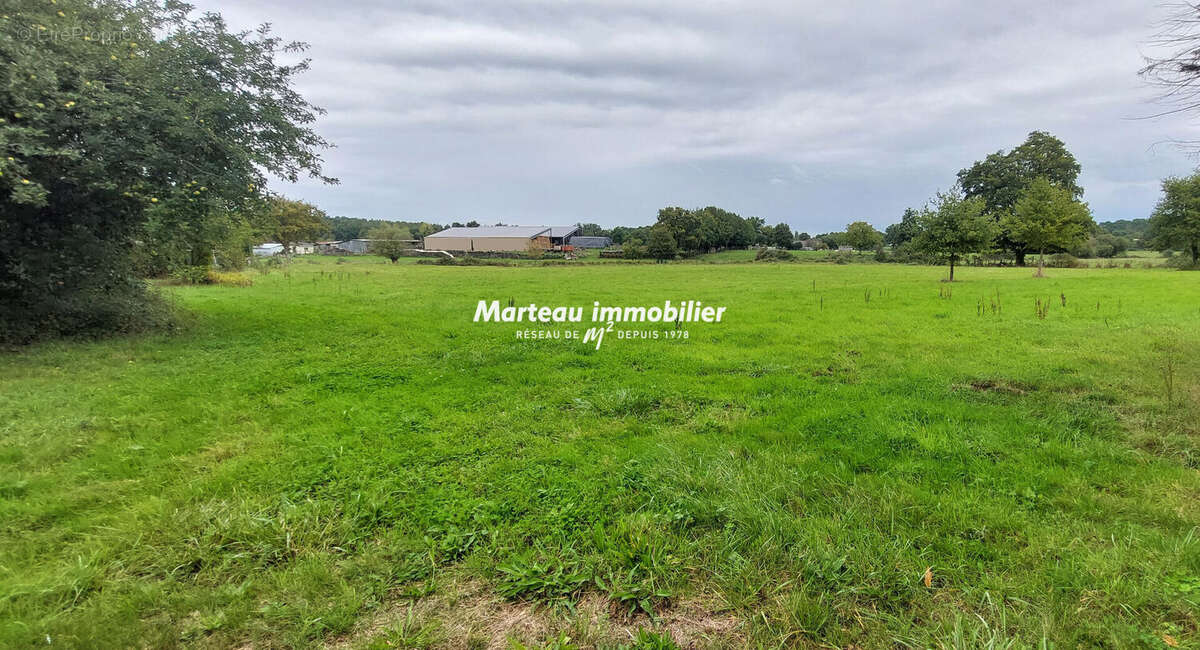 Maison à PARIGNE-L&#039;EVEQUE