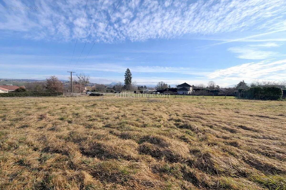 Terrain à CORBELIN
