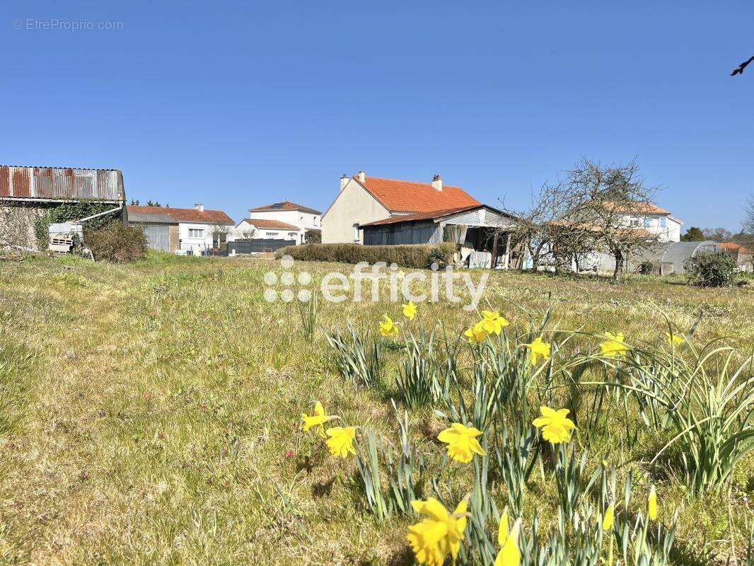 Terrain à PONT-SAINT-MARTIN