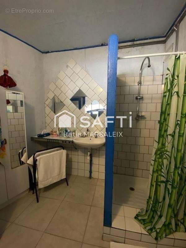 Photo 7 - Maison à THEVET-SAINT-JULIEN