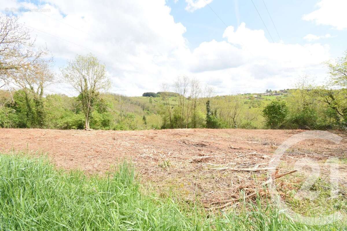 Terrain à CREUZIER-LE-VIEUX