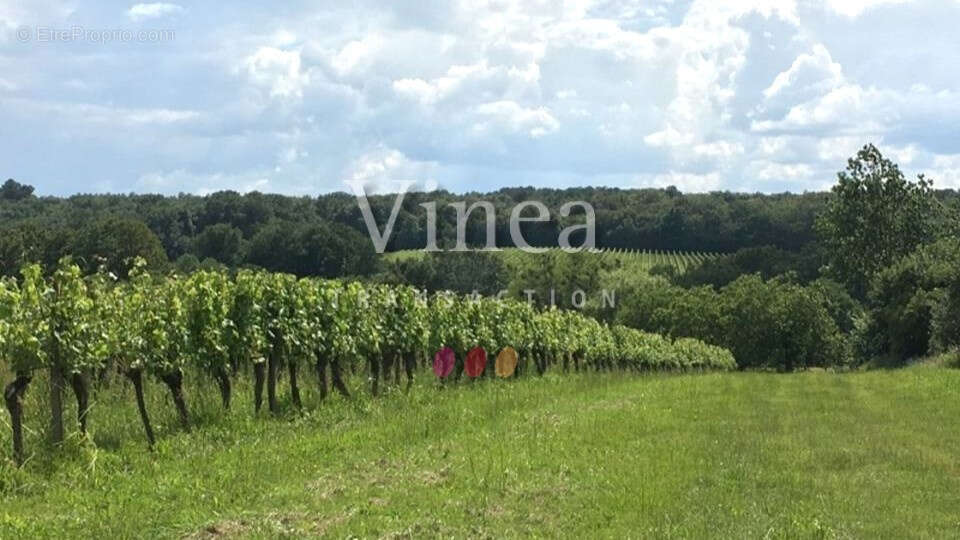 Autre à ROQUEBRUNE