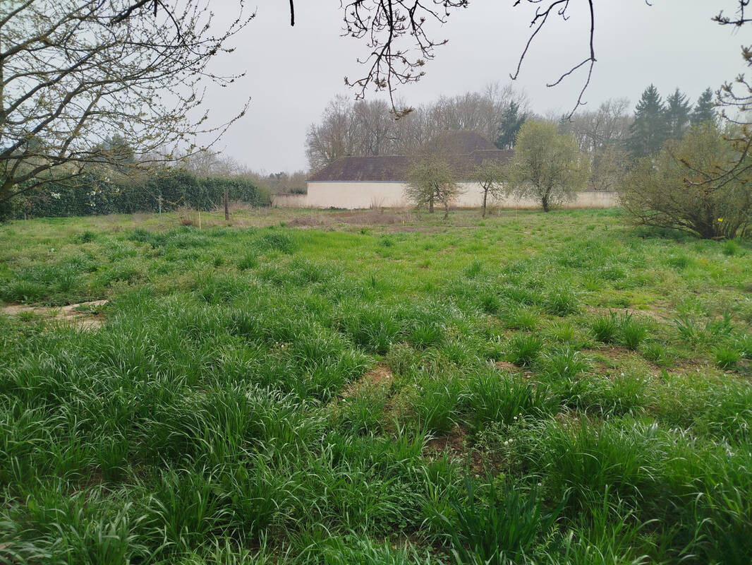 Terrain à CHARBUY