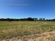 Terrain à NOGENT-LE-ROI