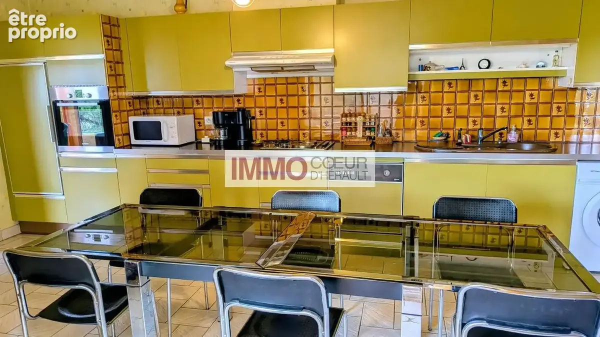 Villa de style vigneronne  218 m²  terrain de 3 980 m²  saint-andré-de-sangonis - photo 5
