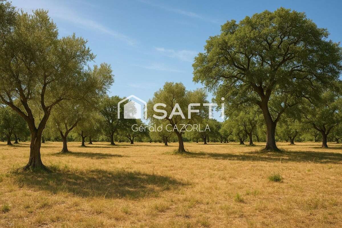 Photo 2 - Terrain à SAINT-JEAN-DE-VEDAS