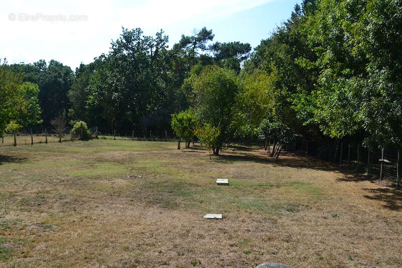 Maison à SAINT-MARTIN-DE-RIBERAC