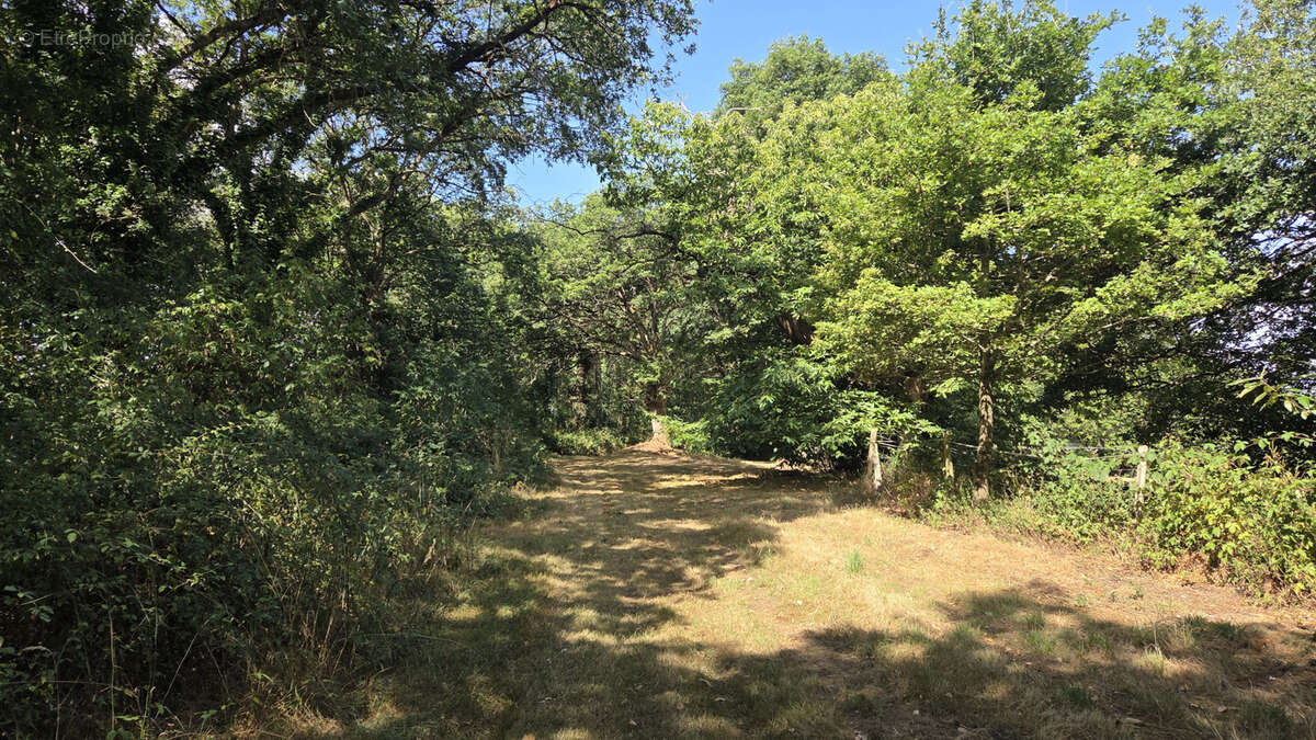 Maison à SAINTE-MARIE