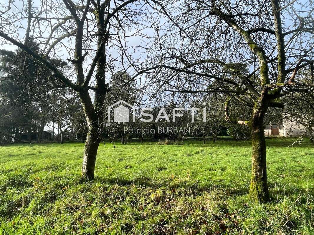 Photo 7 - Terrain à MOLAC