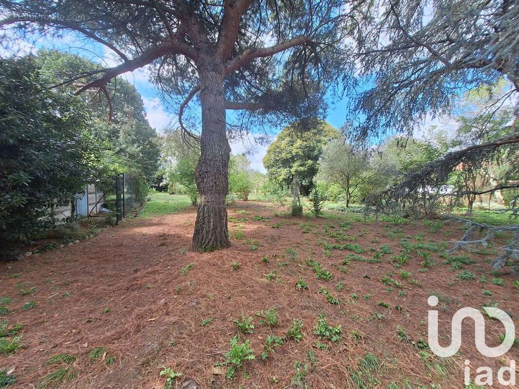 Photo 8 - Maison à GAGNAC-SUR-GARONNE