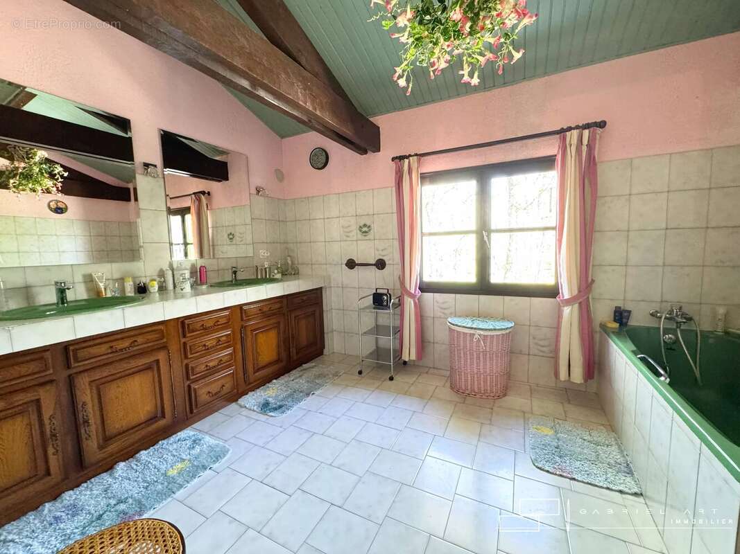 Maison à LASSEUBE-PROPRE