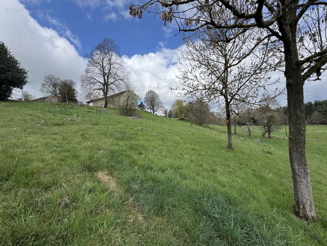 Terrain à LAPTE