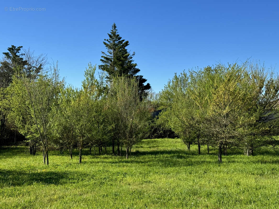 Terrain à LA BRUGUIERE