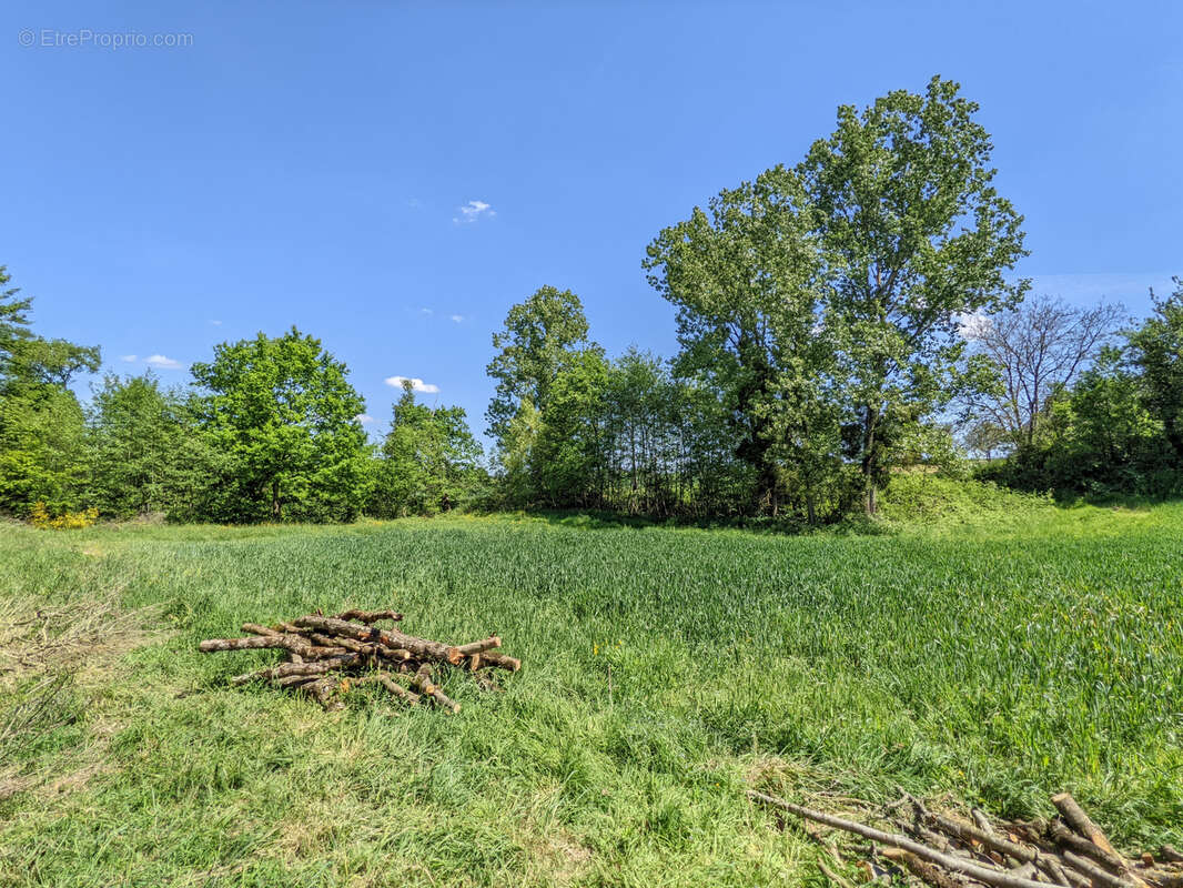 Un Manoir en Brocéliande à acheter avec CHT Immobilier - photo 43