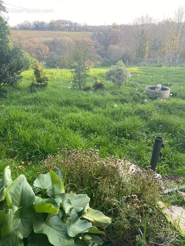 Maison à FRESSELINES