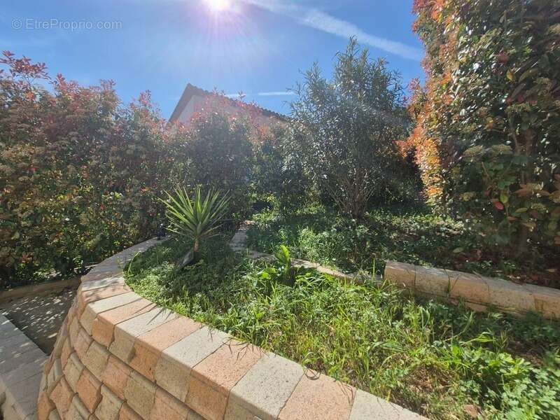 Maison à SOLLIES-VILLE