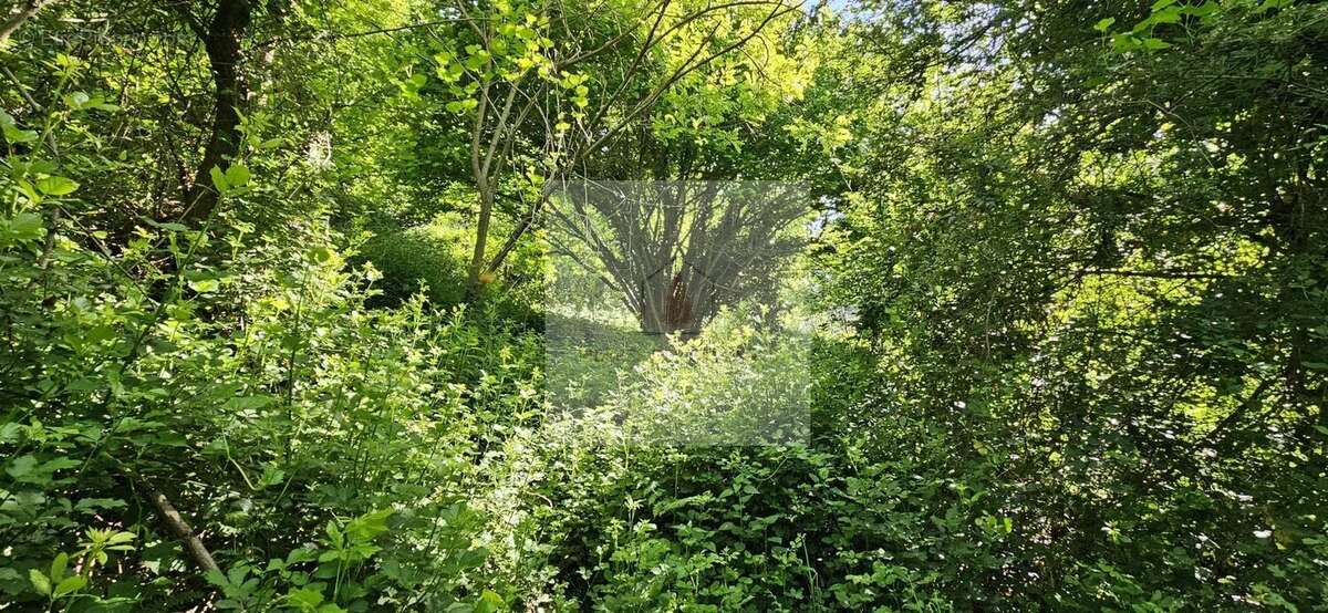 Terrain à LE COLLET-DE-DEZE