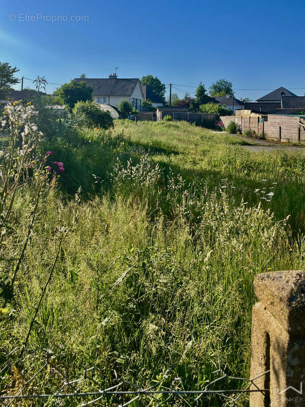 Terrain à LIFFRE