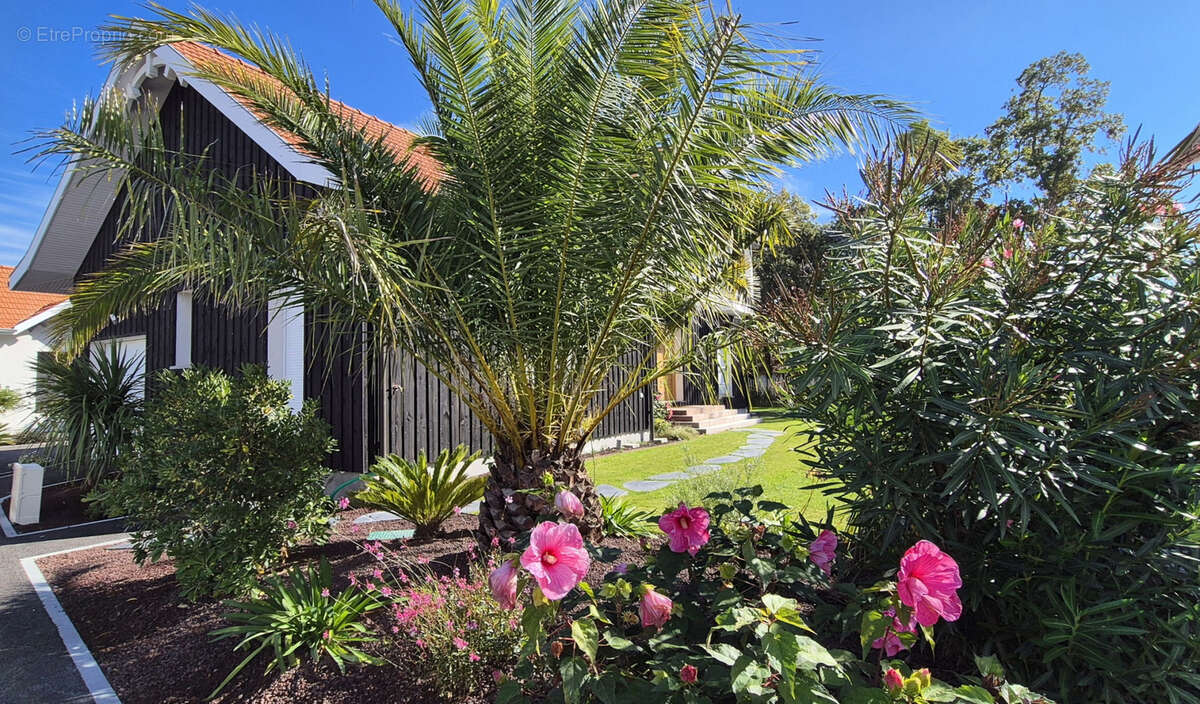 Maison à ANDERNOS-LES-BAINS