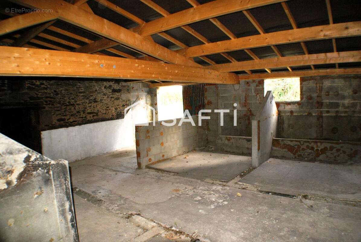 Photo 3 - Maison à LA CHATAIGNERAIE