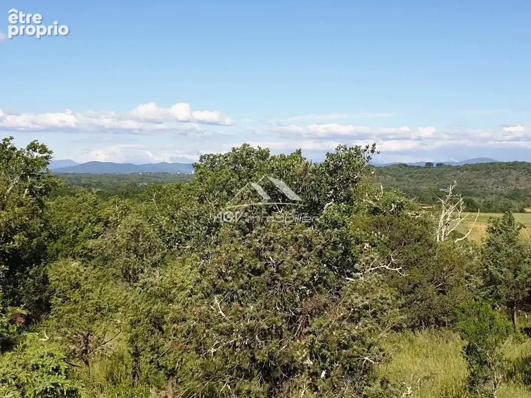 Terrain 2181m², vue sur les cévennes - photo 10