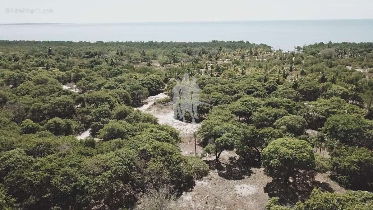 Terrain à BANOS