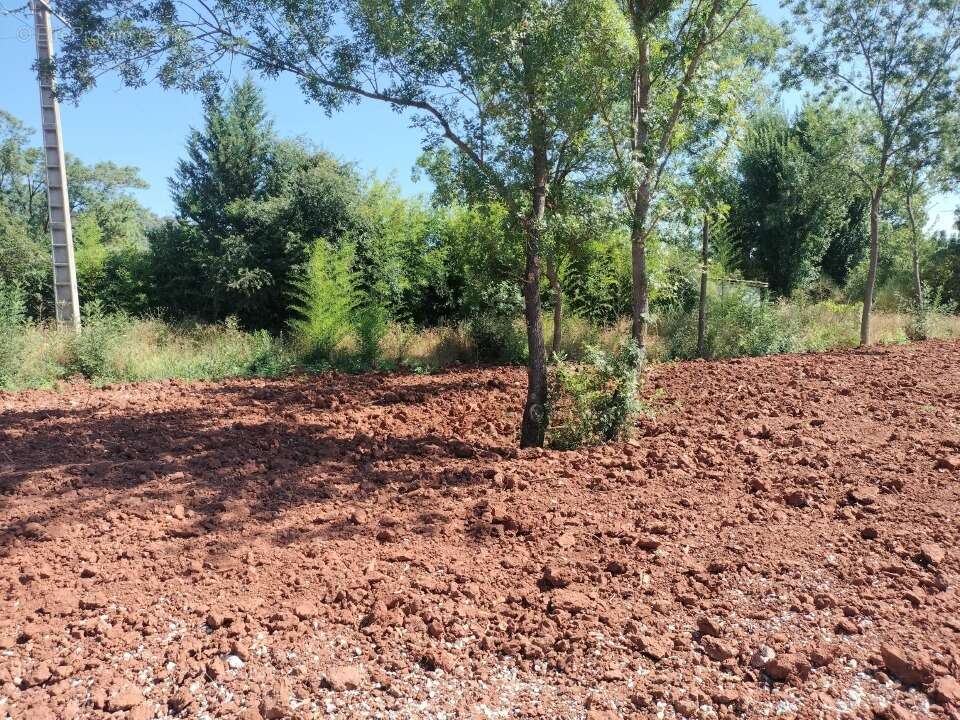 Terrain 393 m² à Le Luc  - photo 3