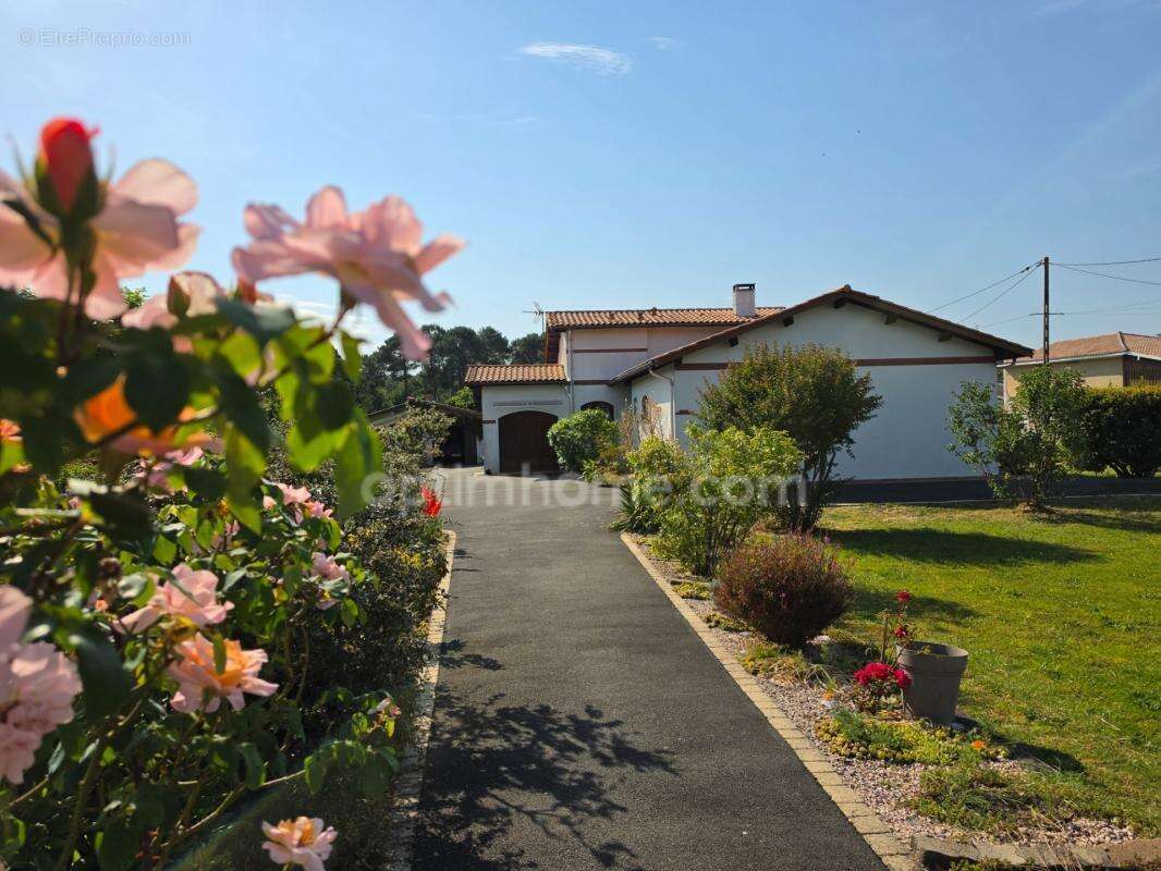 Maison 144 m² – 4 chambres – terrain 1 970 m² avec piscine – Salles 33770 - photo 2