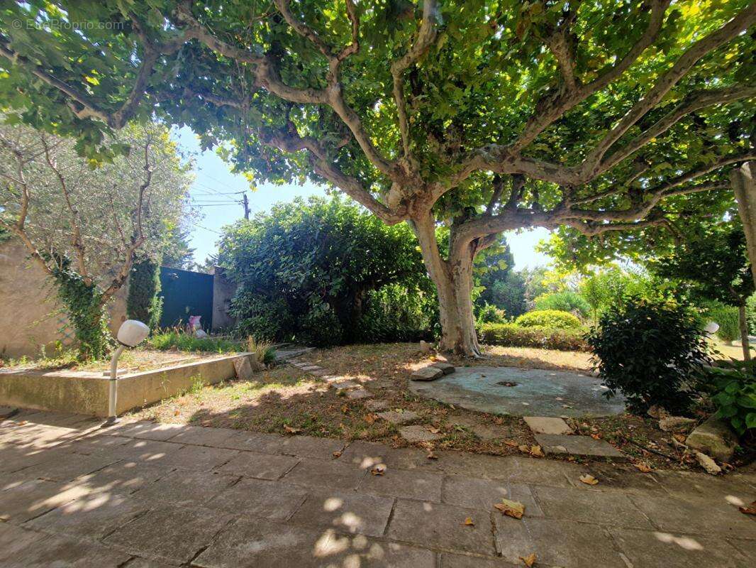 Maison à SAINT-REMY-DE-PROVENCE