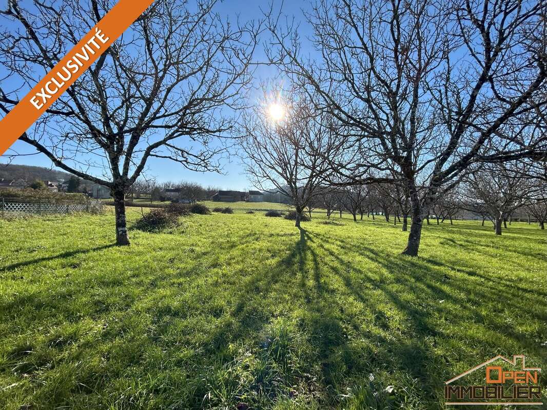 Terrain à SAINT-JULIEN-DE-LAMPON