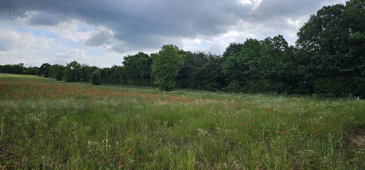 Terrain à GOND-PONTOUVRE