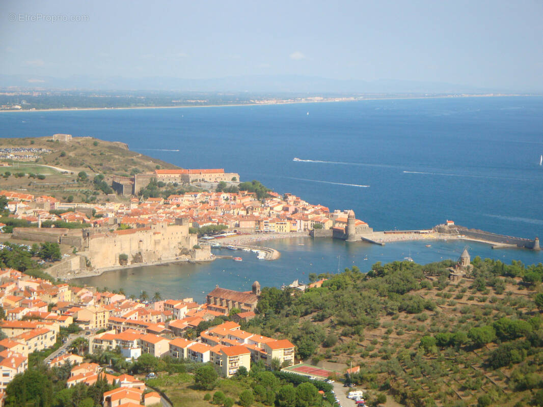 Commerce à COLLIOURE