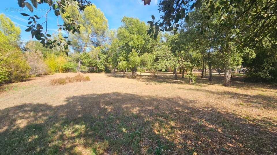 Terrain à LE CANNET-DES-MAURES