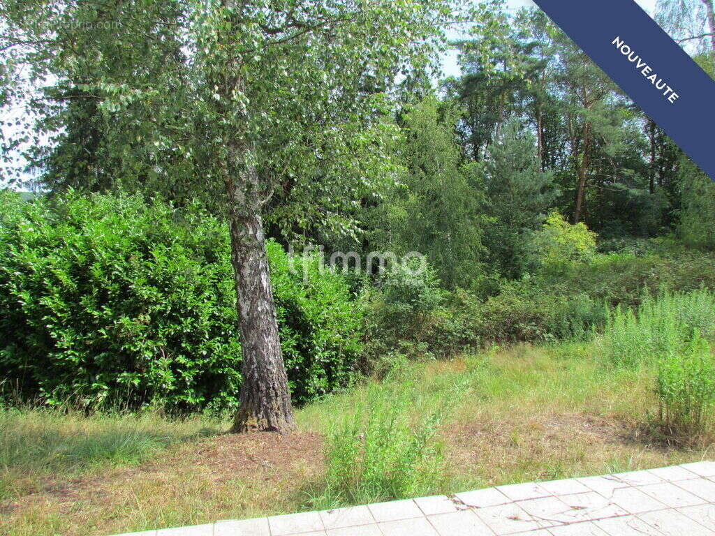 Maison avec dépendances sur 35 ares - photo 6