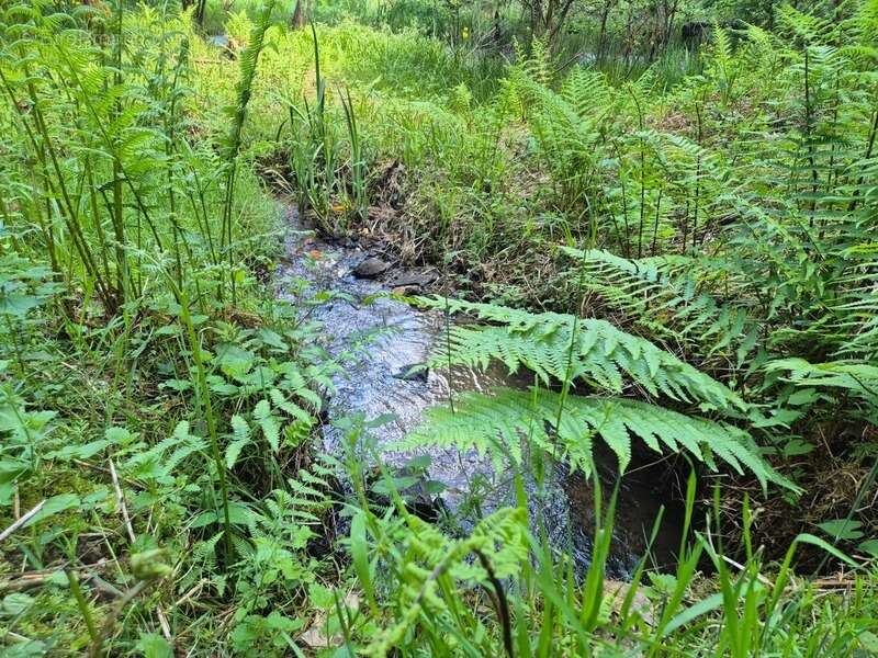 Terrain à PRESSIGNAC