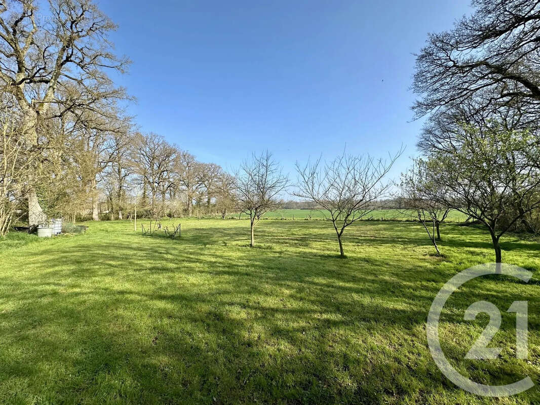 Maison 116 m² à Saint-Pellerin  - photo 14