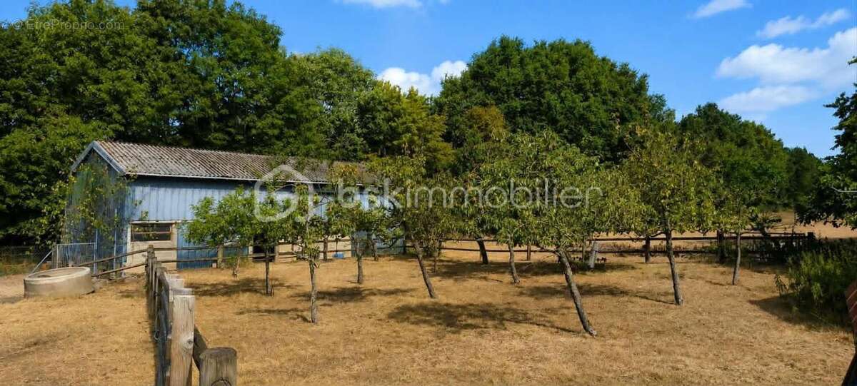 Maison en pierre de 150 m2 avec dépendances - photo 16