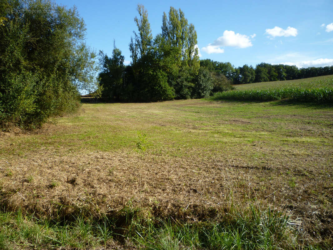 Terrain de loisir - photo 4