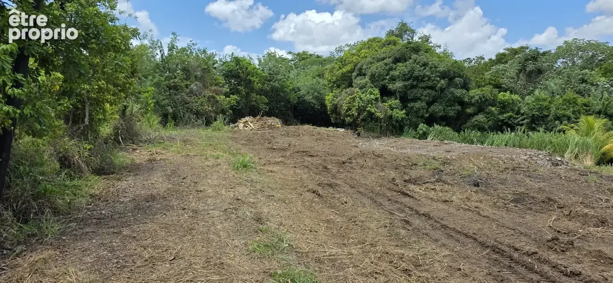 Terrain 1264 m² à Le Lamentin  - photo 5