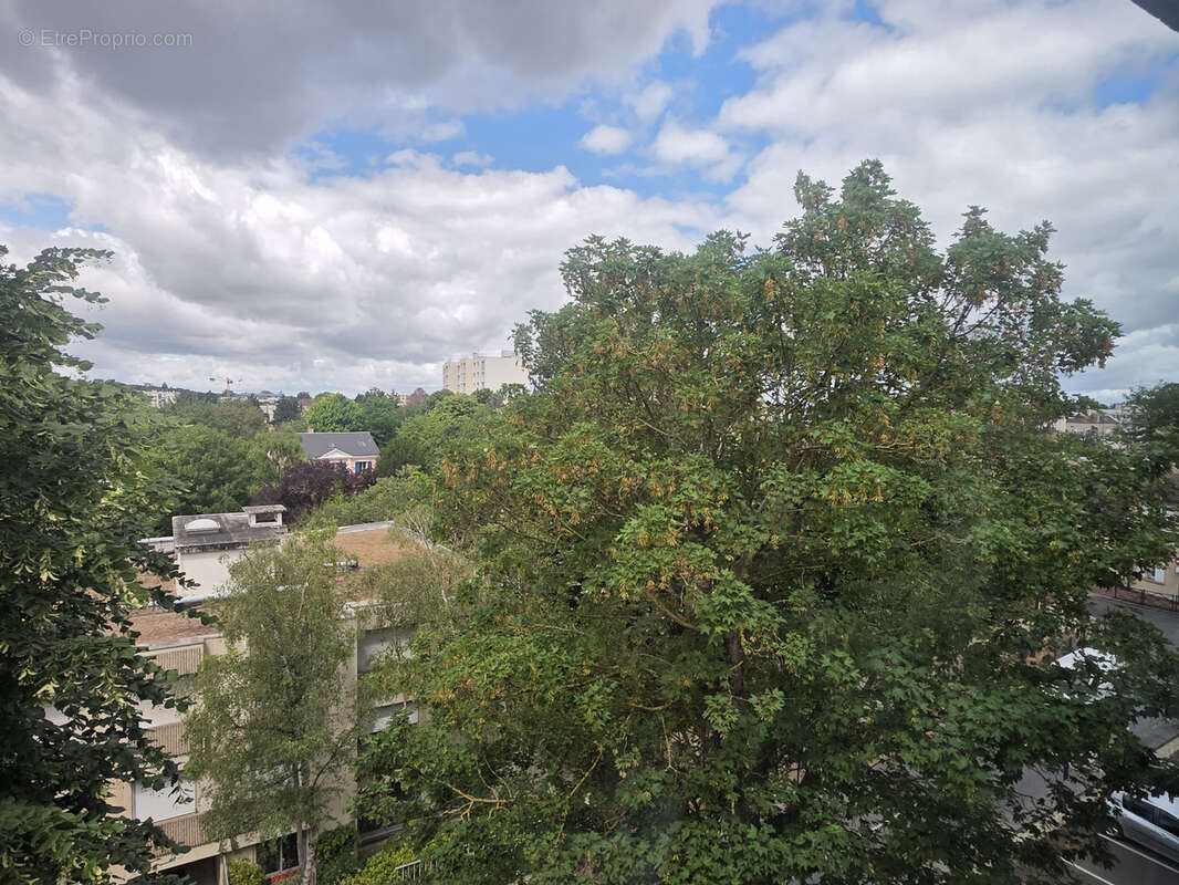 Studio 31.25 m2 Saint germain en laye - photo 5