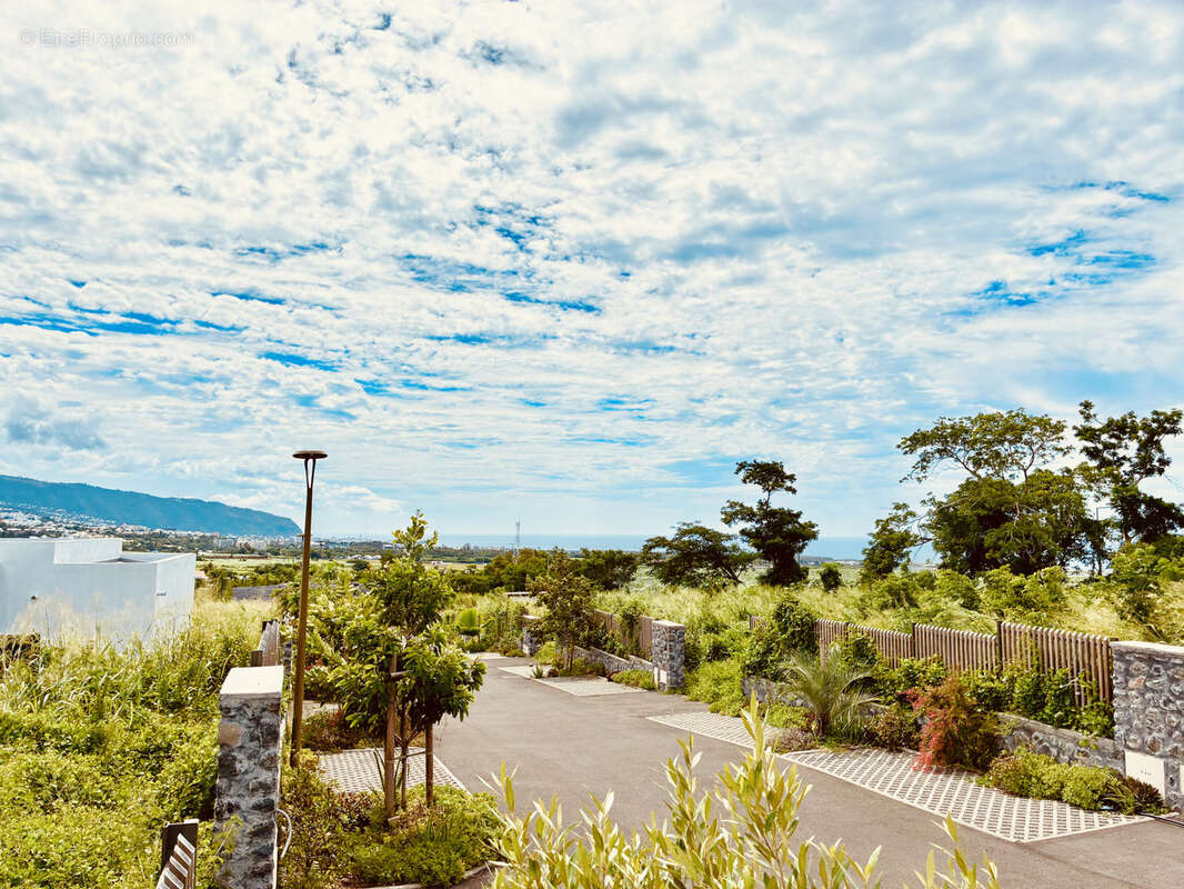 Terrain à SAINTE-MARIE