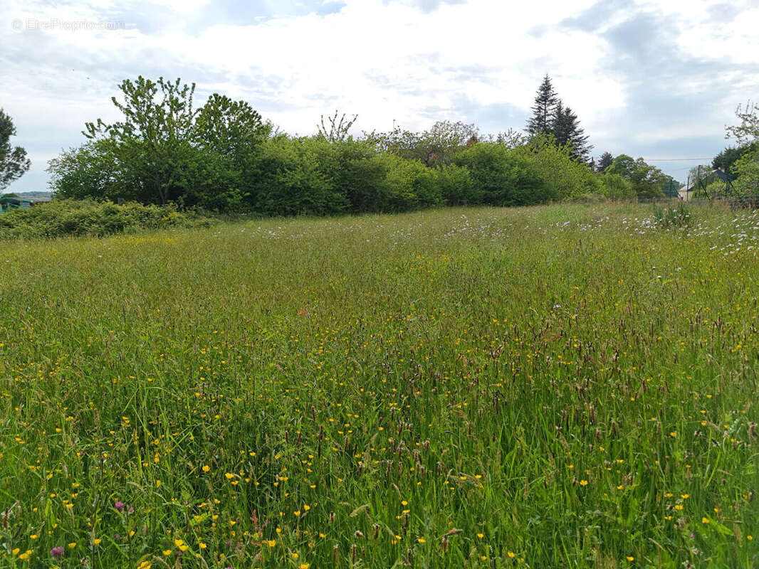 Terrain à MONTENEUF