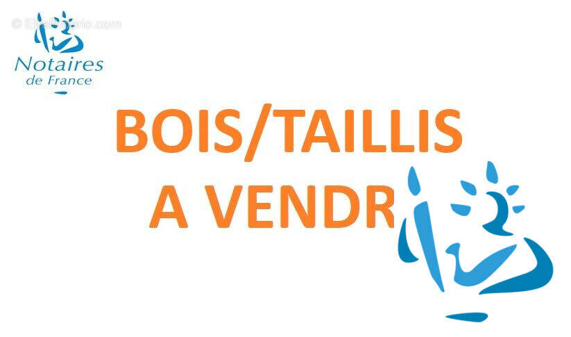 Terrain à MORTAGNE-AU-PERCHE