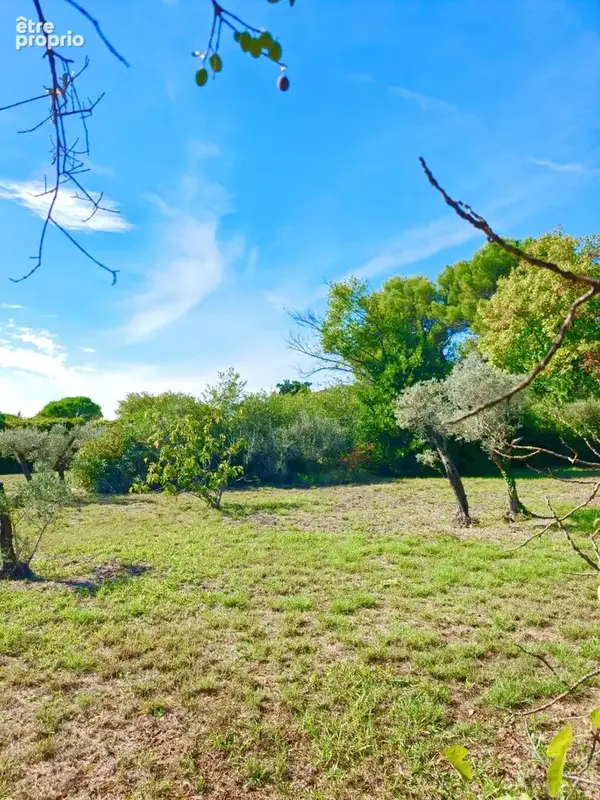Terrain constructible 1900 m² - photo 8