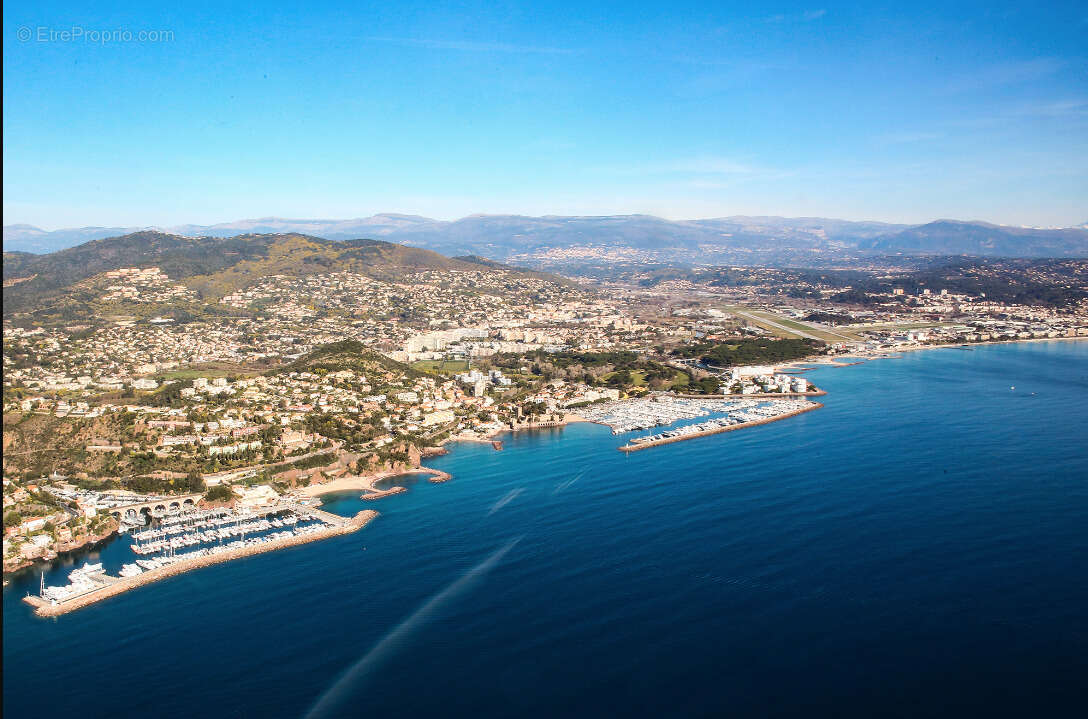 Commerce à MANDELIEU-LA-NAPOULE